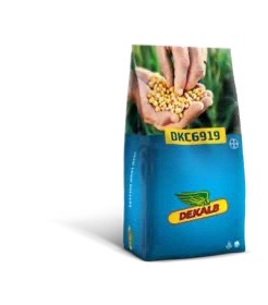 DKC 6919